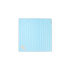 PIN STRIPE SCARF-SKY BLUE