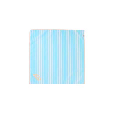 PIN STRIPE SCARF-SKY BLUE