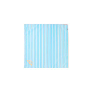 PIN STRIPE SCARF-SKY BLUE